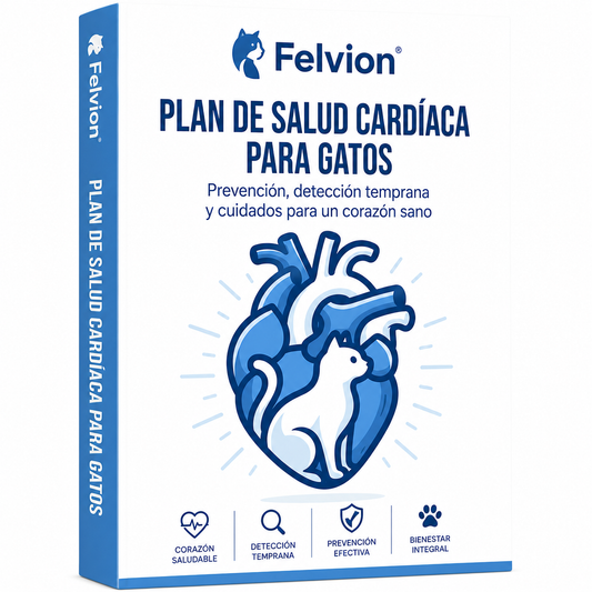 Ebook - Guía Cardiaca